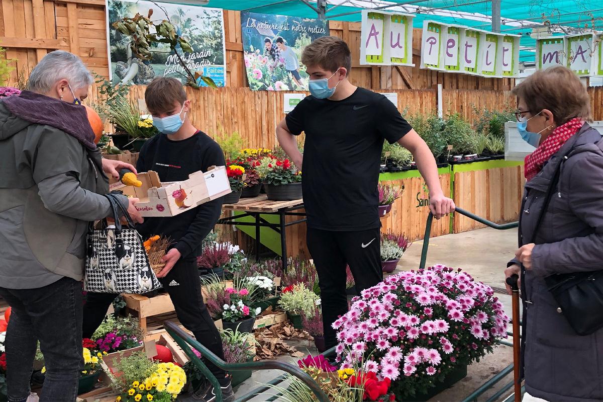 Bichonné par les lycéens de Saint-Illan, le chrysanthème local est la star