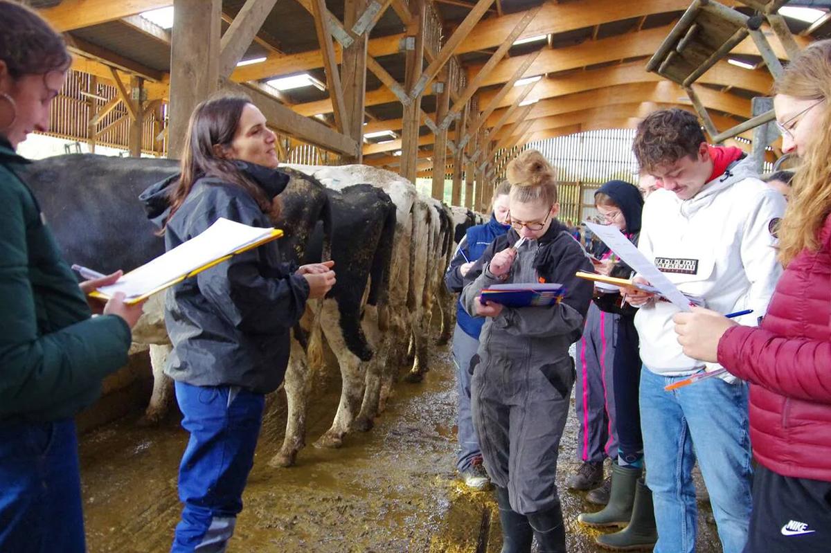 Kernilien prépare les concours du Salon de l’agriculture