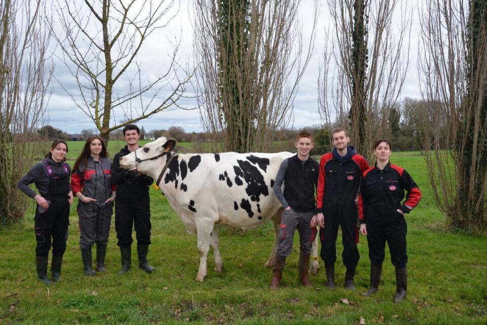 Des lycéens de Quessoy avec une vache au salon de l&#039;agriculture, c&#039;est une première