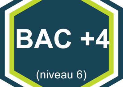Formations et diplômes : BAC+4