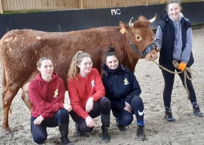 Guingamp : quatre étudiantes du lycée de Kernilien et leur vache au Salon de l'agriculture 